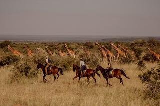 Riding Safari, Sosian, Laikipia, Kenya