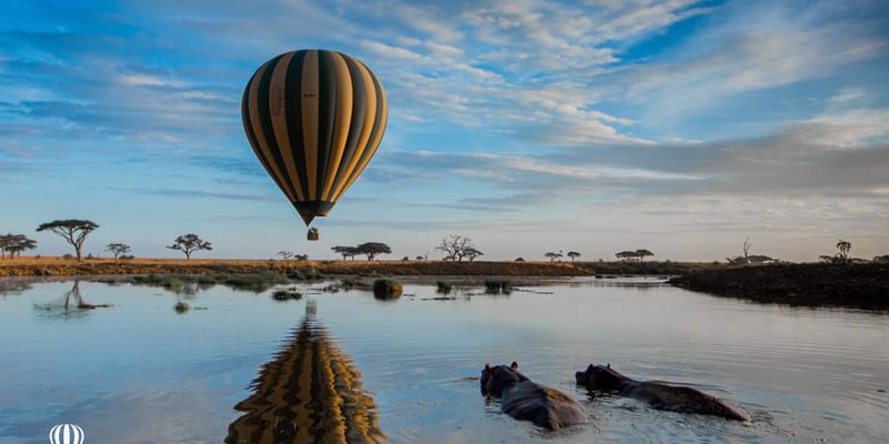 Balloon Trans serengeti Tanzania Balloon Trans serengeti Tanzania