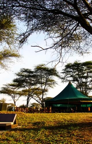 Banagi Green Camp In The Central Serengeti