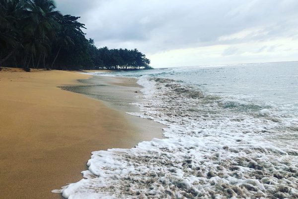 Banana Beach Principe Banana Beach Principe