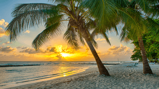 Barbados Canva Pro 1 Barbados Canva Pro 1