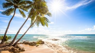 Barbados West Coast Canva Pro Barbados West Coast Canva Pro