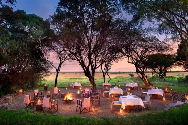 Bateleur camp dining experience Bateleur camp dining experience