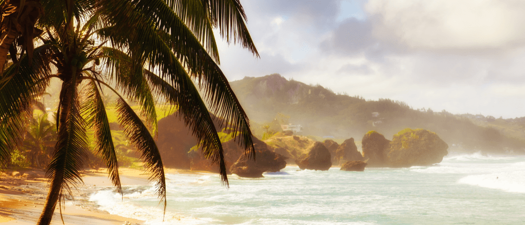 Bathsheba Barbados Canva Pro