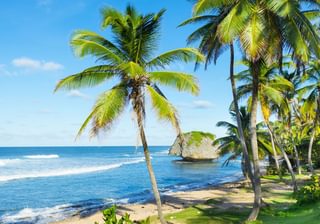 Bathsheba Beach Barbados Canva Pro Bathsheba Beach Barbados Canva Pro