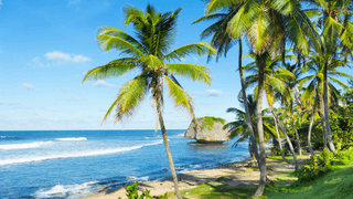 Bathsheba Beach Barbados Canva Pro Bathsheba Beach Barbados Canva Pro