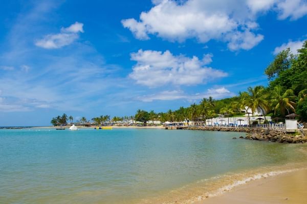Beach St Lucia Pitos Caribbean Beach St Lucia Pitos Caribbean