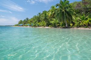 Beach in Bocas del Toro Panama Canva Pro