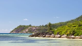 Beach in Seychelles Canva Pro Beach in Seychelles Canva Pro