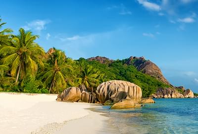 Beach In The Seychelles