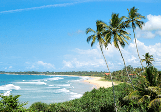 Beach palms and turquoise water of Indian Ocean Sri Lanka Canva Pro Beach palms and turquoise water of Indian Ocean Sri Lanka Canva Pro
