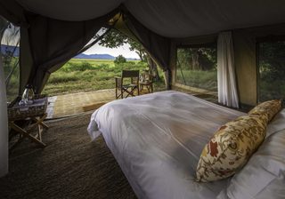 Bedroom  Johns Camp Bedroom  Johns Camp