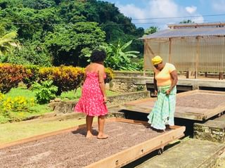 Belmont Estate Chocolate Tour Grenada 2 jpg Belmont Estate Chocolate Tour Grenada 2 jpg