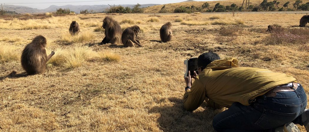 Ben  Taking  Pictures Of  Geladas