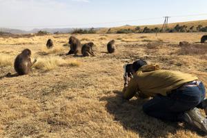 Ben  Taking  Pictures Of  Geladas