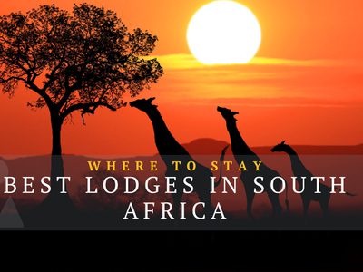 Best Lodges in South Africa Best Lodges in South Africa
