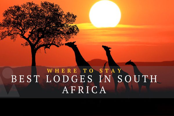 Best Lodges in South Africa Best Lodges in South Africa
