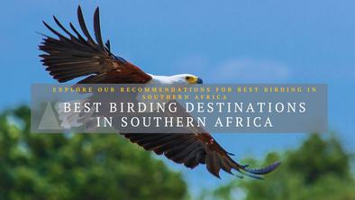 Best birding in SA