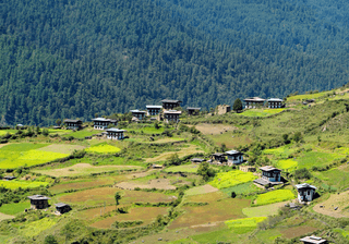 Bhutan Haa Canva Pro Bhutan Haa Canva Pro