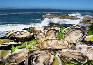 Bientang Cave Oyster Platter Bientang Cave Oyster Platter