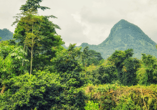 Biosphere Reserve Principe Sao Tome and Principe Atlantic Ocean Africa Canva Pro Biosphere Reserve Principe Sao Tome and Principe Atlantic Ocean Africa Canva Pro