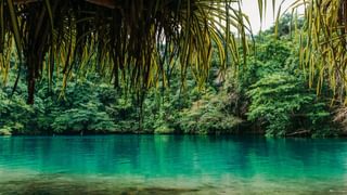 Blue lagoon on Jamaica Canva Pro Blue lagoon on Jamaica Canva Pro