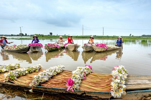 Boats with flowers on the mekong delta Vietnam pexels Boats with flowers on the mekong delta Vietnam pexels