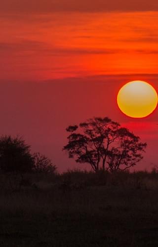 Botswana Sunset