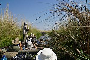 Botswana Cannoe Botswana Cannoe