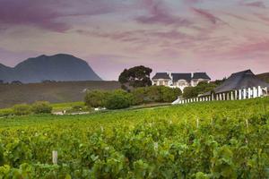Bouchard Finlayson Estate Bouchard Finlayson Estate