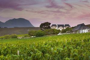 Bouchard Finlayson Estate