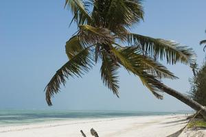 Breezes Beach Club And Spa Bwejuu Beach Breezes Beach Club And Spa Bwejuu Beach