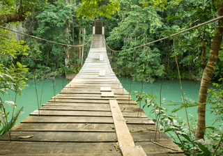 Bridge in Rio Blanco National Park Belize Canva Pro Bridge in Rio Blanco National Park Belize Canva Pro