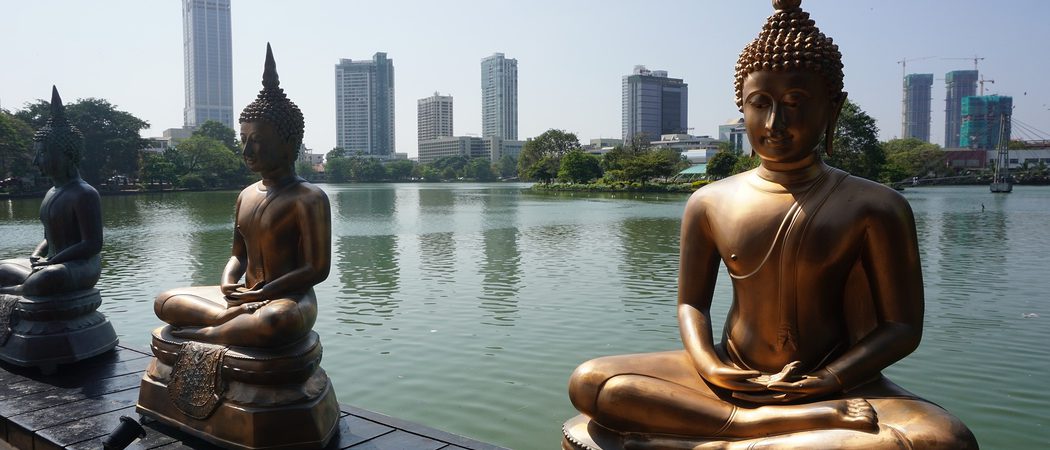 Buddhas of Colombo