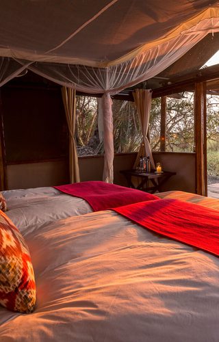 Busanga Bush Camp Header Busanga Bush Camp Header