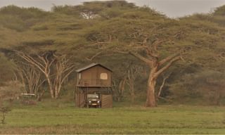 Bush Rover In The Bush Bush Rover In The Bush