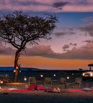 Bush Sundowners Bush Sundowners
