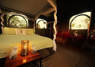 Bush Rover Bedroom Bush Rover Bedroom