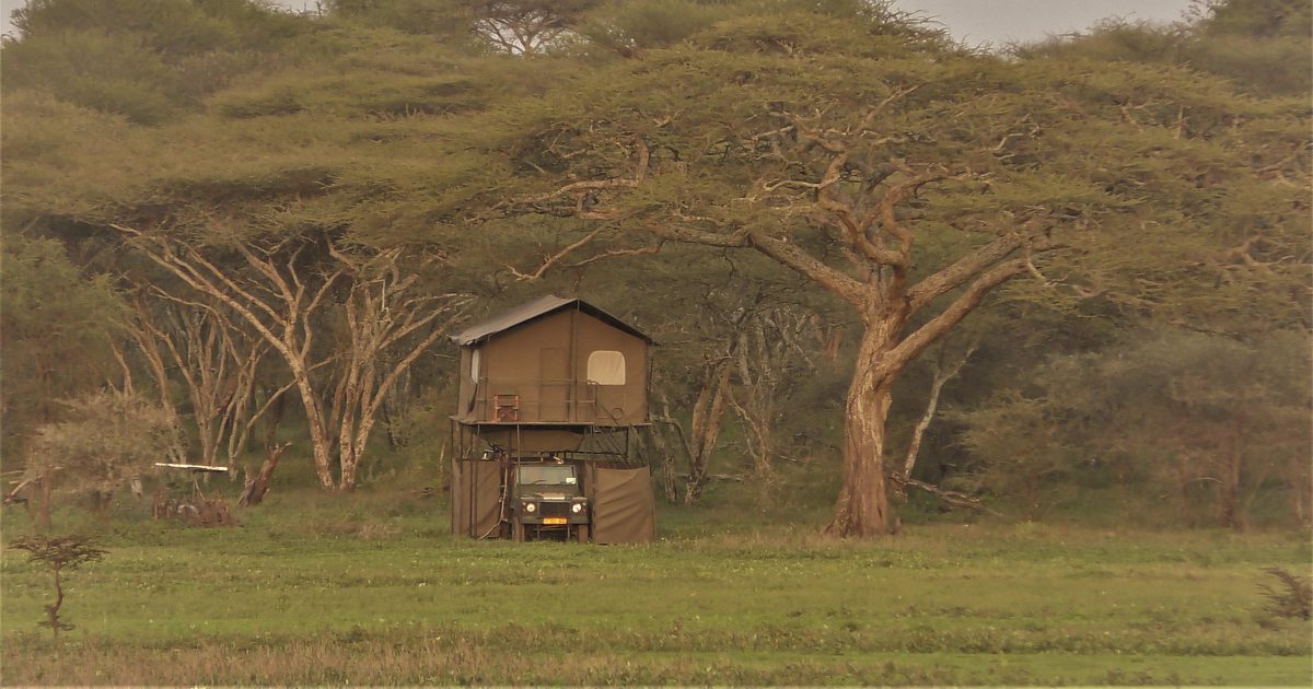 Bush Rover The Bush Rover, Tanzania – Tailor Made Safari | Far and Wild Travel