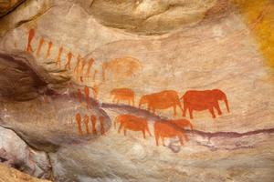 Bushman Elephant Paintings In Cederberg Mountains Bushman Elephant Paintings In Cederberg Mountains