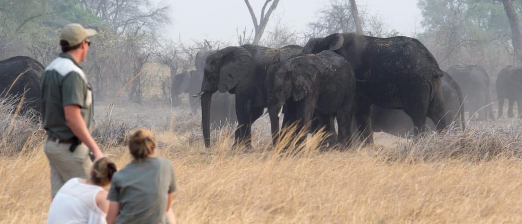 Bwabwata Elephant Viewing