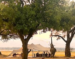 Camp Mana Mana Pools National Park Zimbabwe Martina Warwick Camp Mana Mana Pools National Park Zimbabwe Martina Warwick