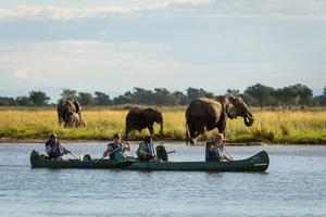 Canoe Excursion Ruckomechi Camp