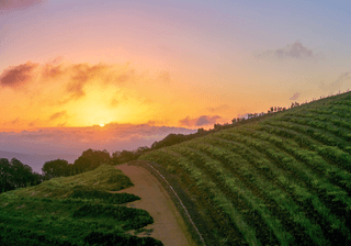 Cape Winelands Sunset Canva Pro Cape Winelands Sunset Canva Pro
