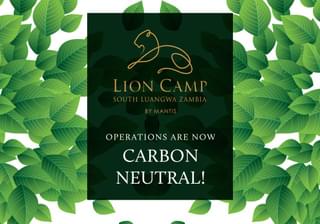 Carbon Neutral Leaves