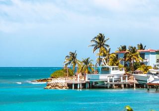 Caribbean coast Antigua Barbuda Canva Pro Caribbean coast Antigua Barbuda Canva Pro