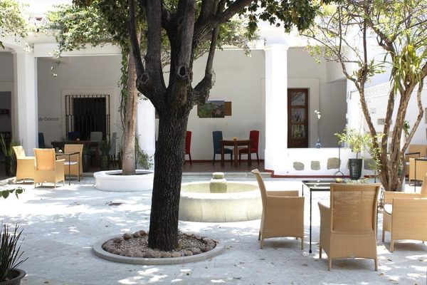 Casa Oaxaca courtyard Casa Oaxaca courtyard