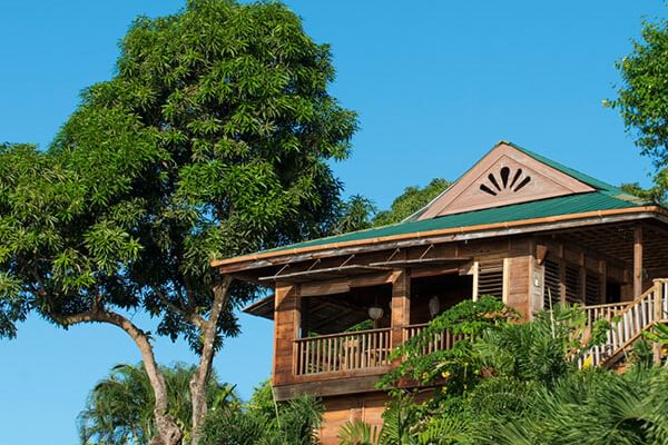 Castara Retreats Birdsong treehouse Castara Retreats Birdsong treehouse