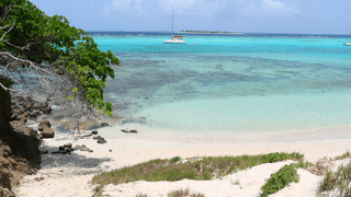 Catamaran Tobago Cays St Vincent and the grenadines Canva Pro Catamaran Tobago Cays St Vincent and the grenadines Canva Pro