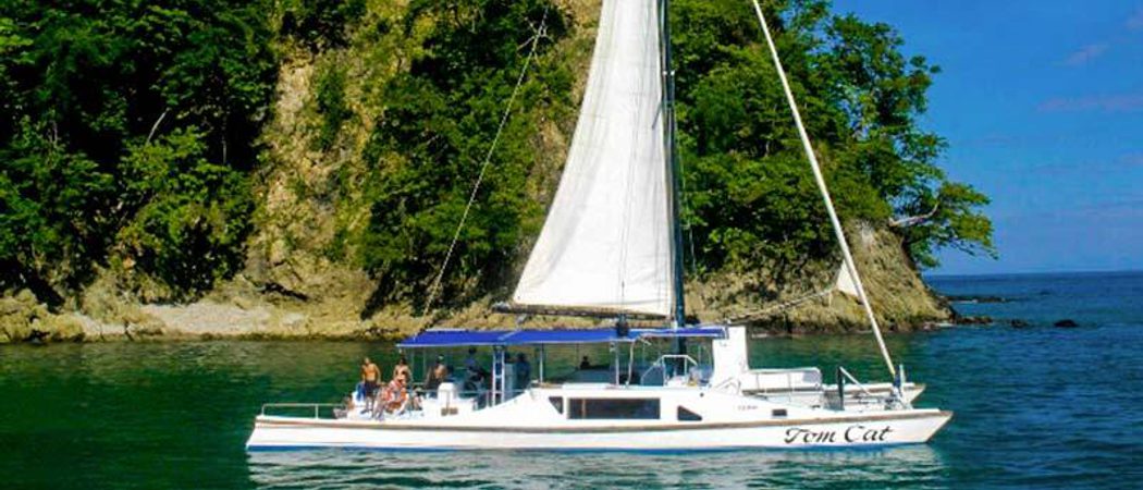 Catamaran Image TE